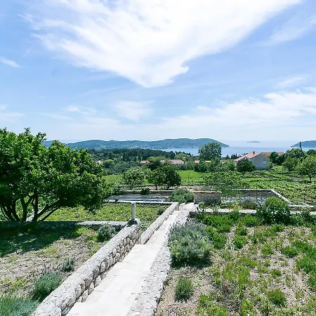 Villa Zeus Villa *