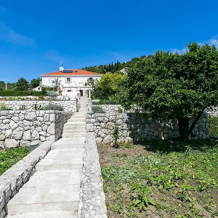 Villa Zeus 别墅